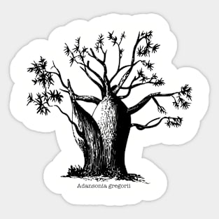 Boab Tree Sticker